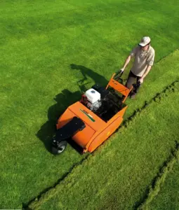 foto website alleengroen.nl 20